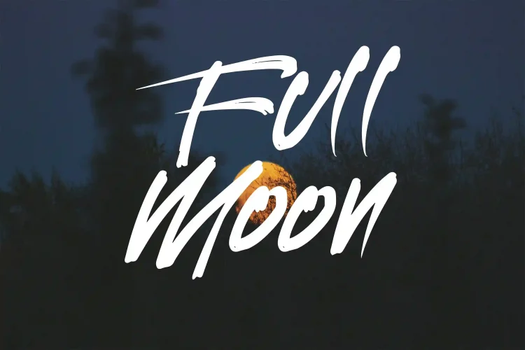 Brush Font