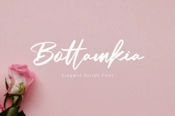 Brush Script Font