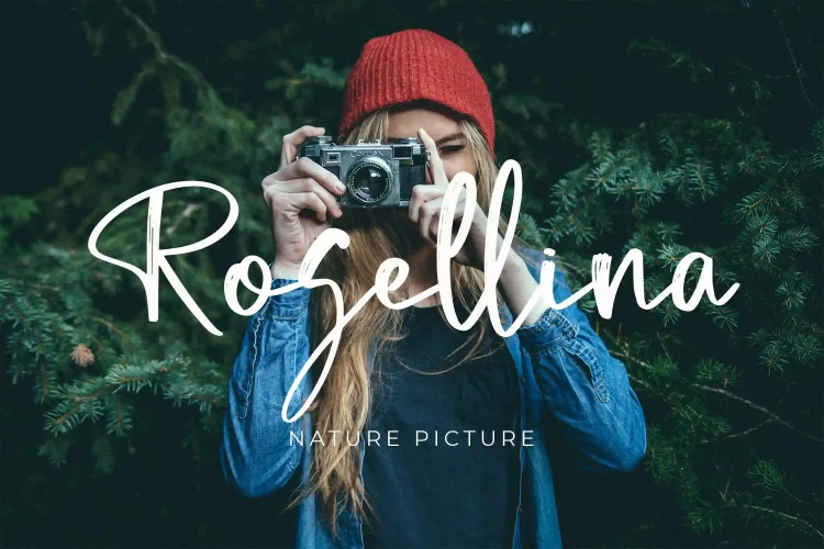 Brush Script Font