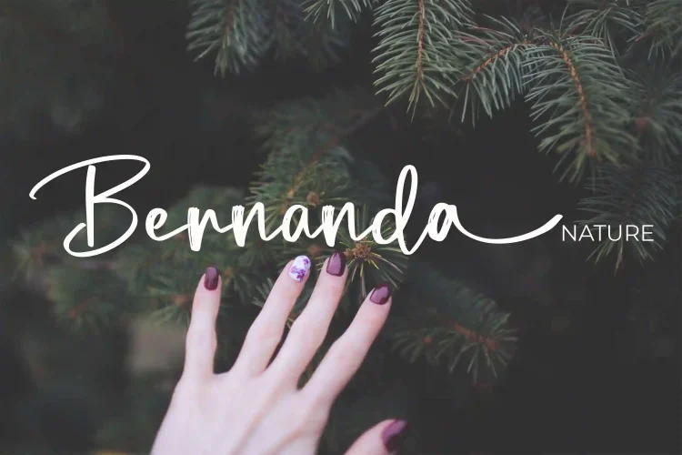 Brush Script Font