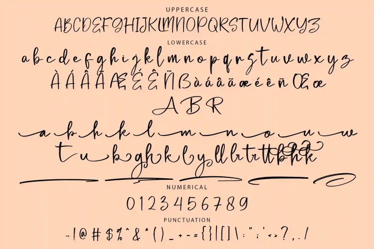 Brush Script Font