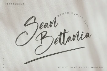 Brush Script Font