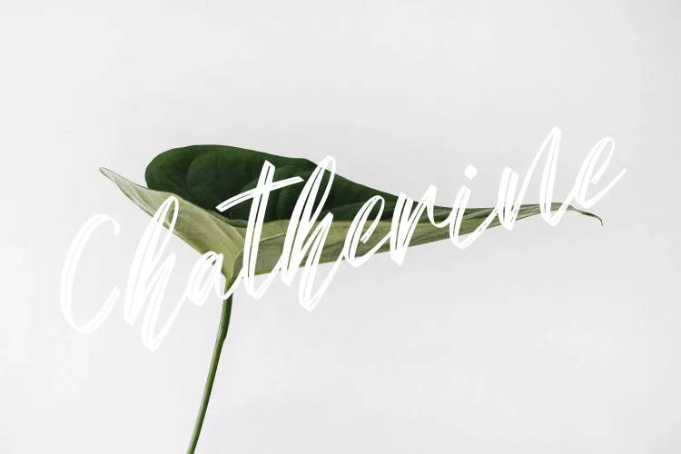 Brush Script Font