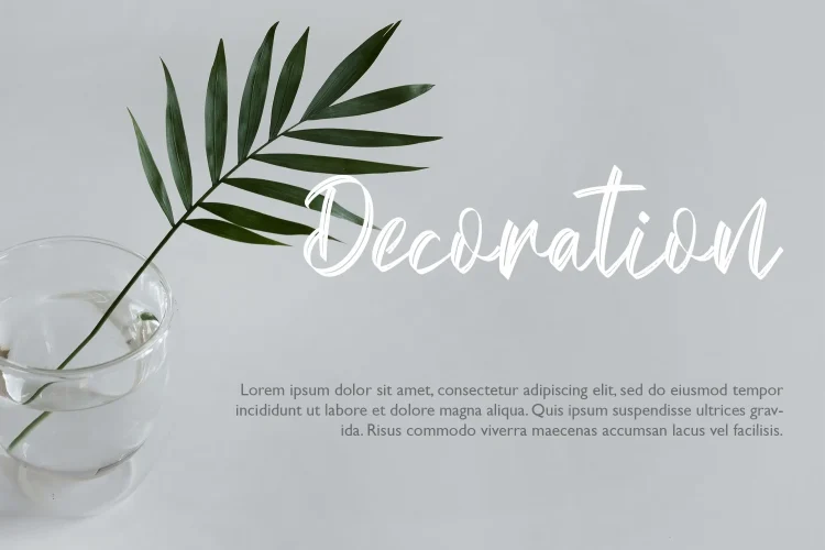 Brush Script Font