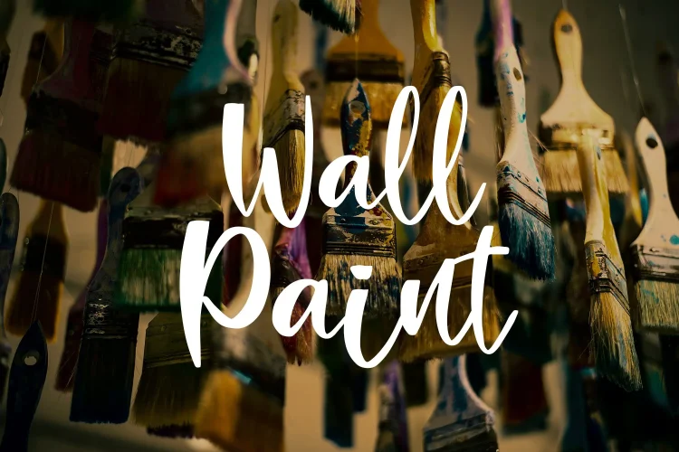 Calligraphic Script Font