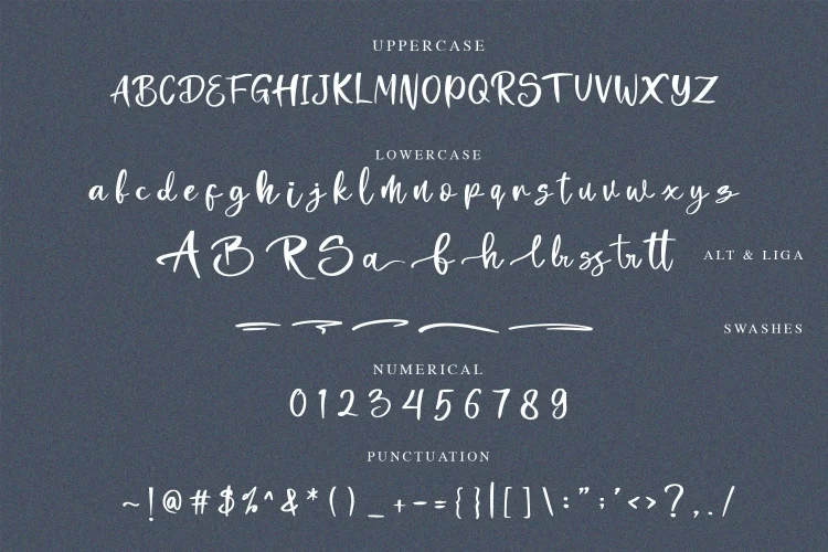 Calligraphic Script Font