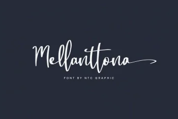 Calligraphy Script Font