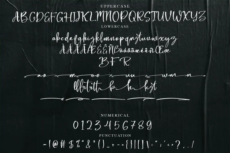 Calligraphy Script Font