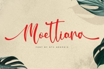 Calligraphy Script Font