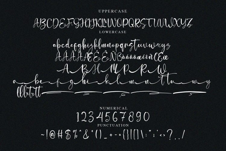 Calligraphy Script Font
