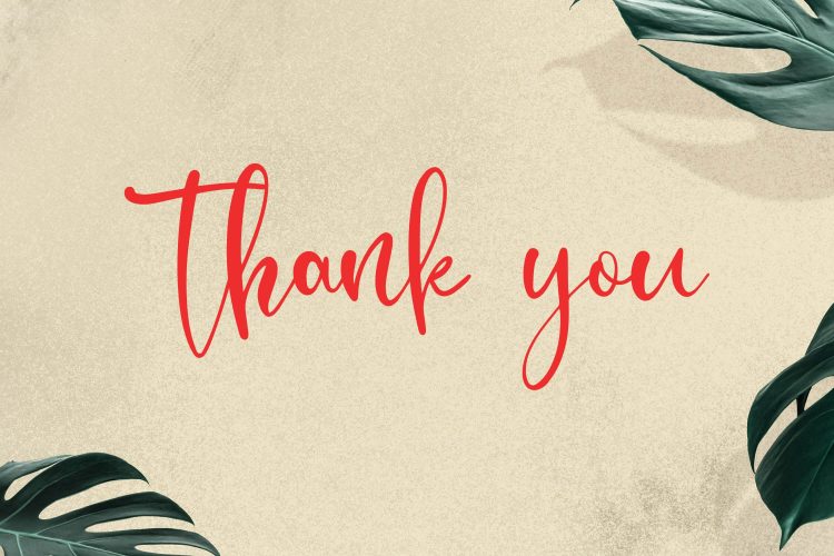 Calligraphy Script Font