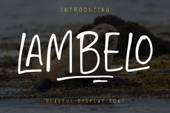 Display Font