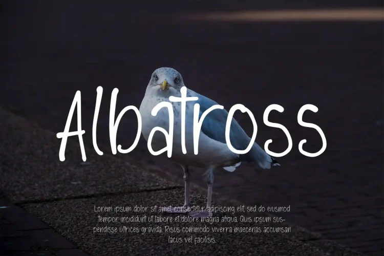 Display Font