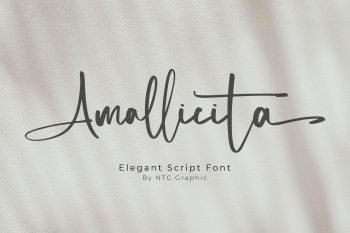 elegant script font