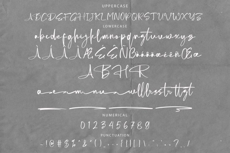 elegant script font
