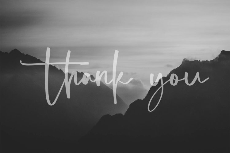 elegant script font