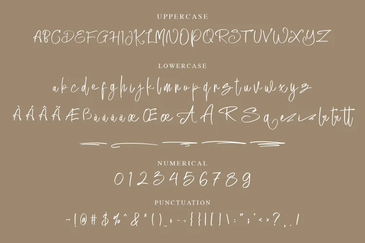 Elegant Script Font