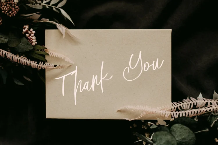 Elegant Script Font