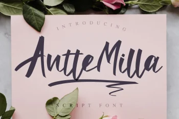 Elegant Script Font