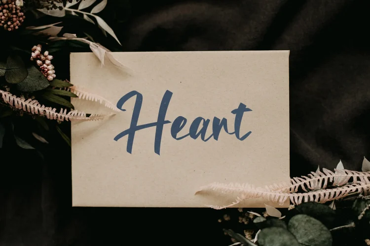 Elegant Script Font