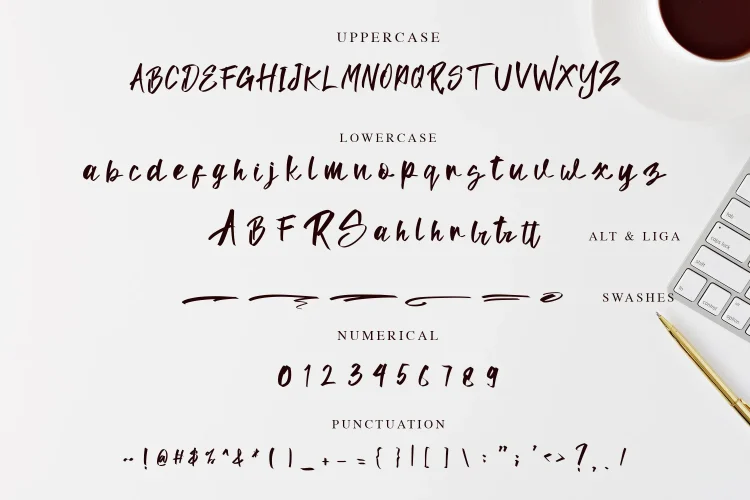 Elegant Script Font