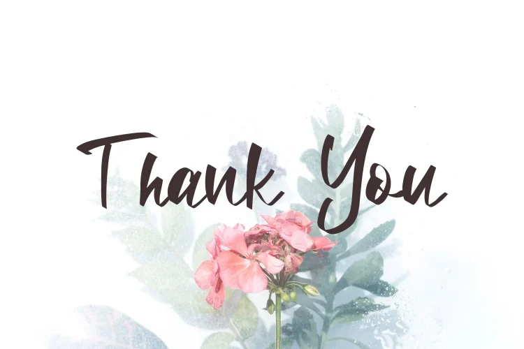 Elegant Script Font