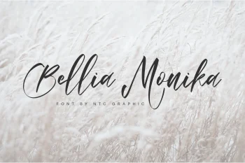 Elegant Script Font