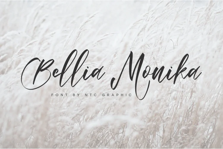 Elegant Script Font
