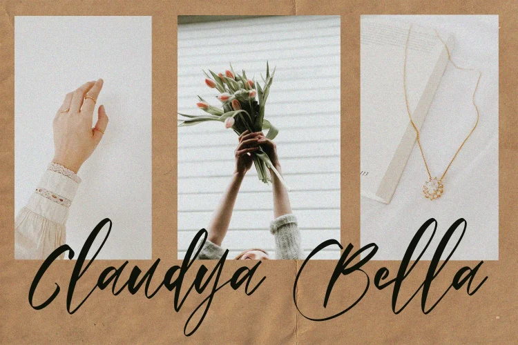 Elegant Script Font