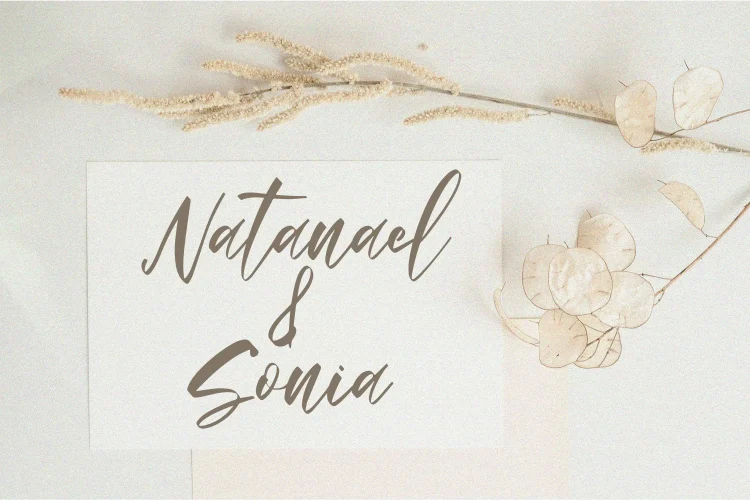 Elegant Script Font