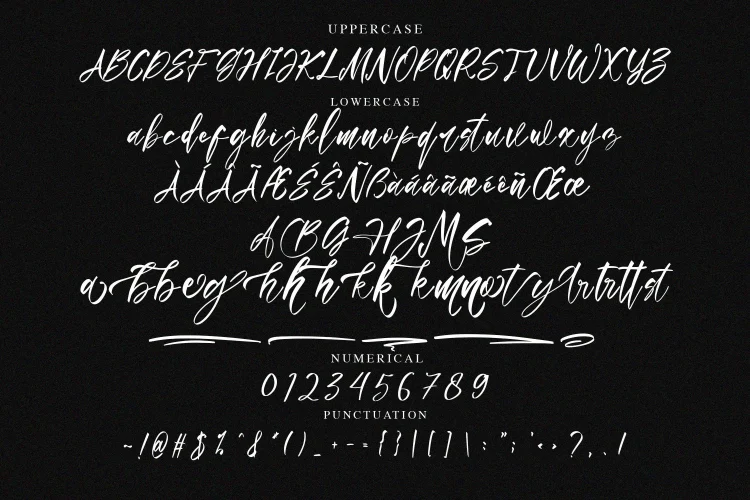 Elegant Script Font