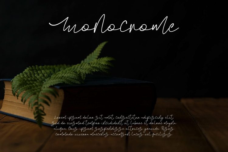 elegant script font
