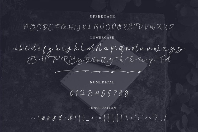 elegant script font