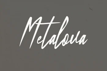 Elegant Script Font