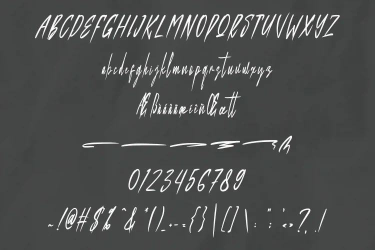 Elegant Script Font