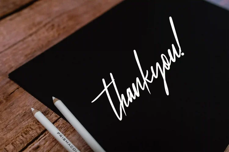Elegant Script Font