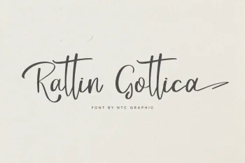 Elegant Script Font