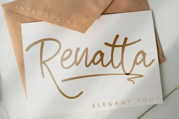 Elegant Script Font