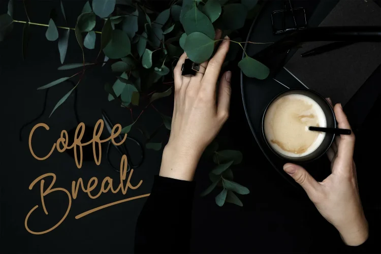 Elegant Script Font
