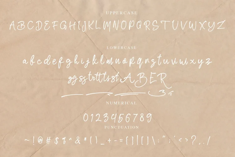 Elegant Script Font