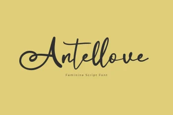 Feminine Script Font