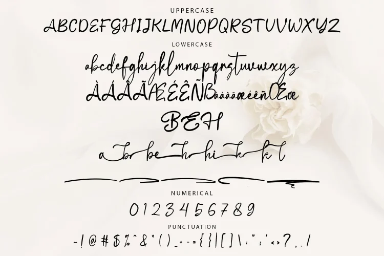 Feminine Script Font