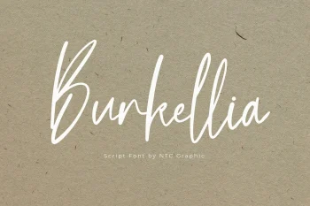 Handwriting Script Font