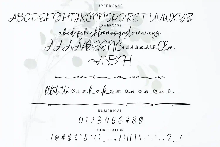 Handwriting Script Font