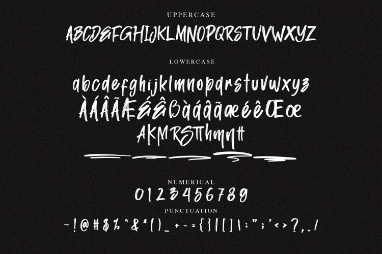 Handwritten Brush Font