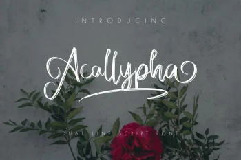 handwritten font