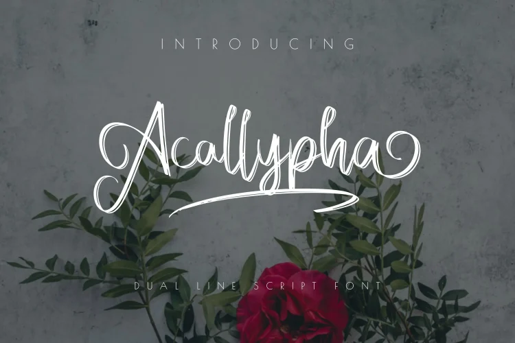 handwritten font
