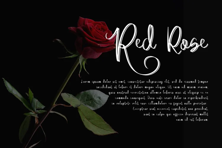 handwritten font