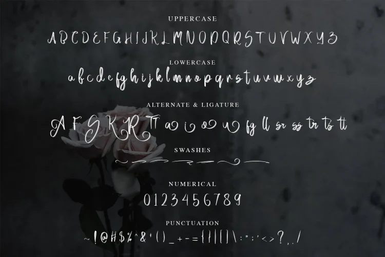 handwritten font