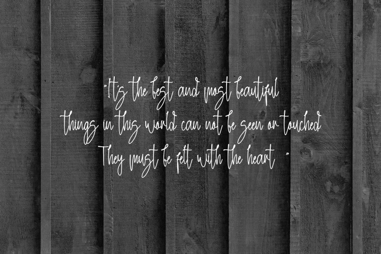 Handwritten Font